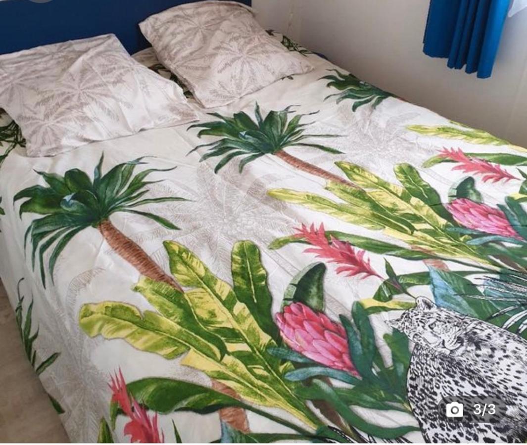 Mobilehome 3 Chambres Curistes Camping Piscine Сент-Пол-ле-Дакс Экстерьер фото